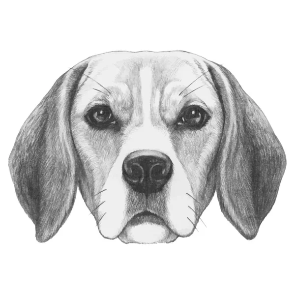 Portrait Dog Hand Drawn Illustration — 스톡 벡터