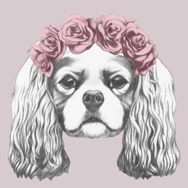 Öğe, dikey, düşüncesiz kral şarlatan İspanyol çiçek baş çelenk. Elle çizilmiş illüstrasyon