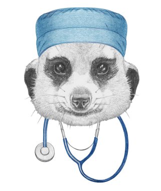 Meerkat 'ın steteskoplu portresi, elle çizilmiş.