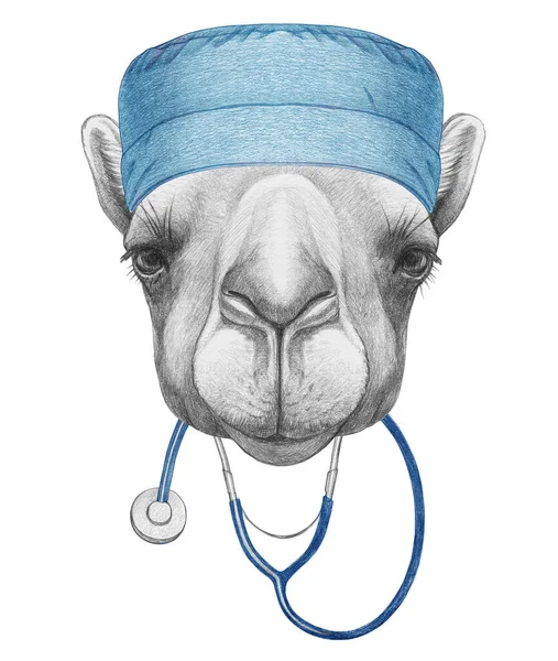 采用听诊器 手绘图解的骆驼肖像 — 图库照片