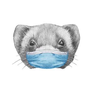 Portrait of ferret  in mask, hand-drawn illustration clipart