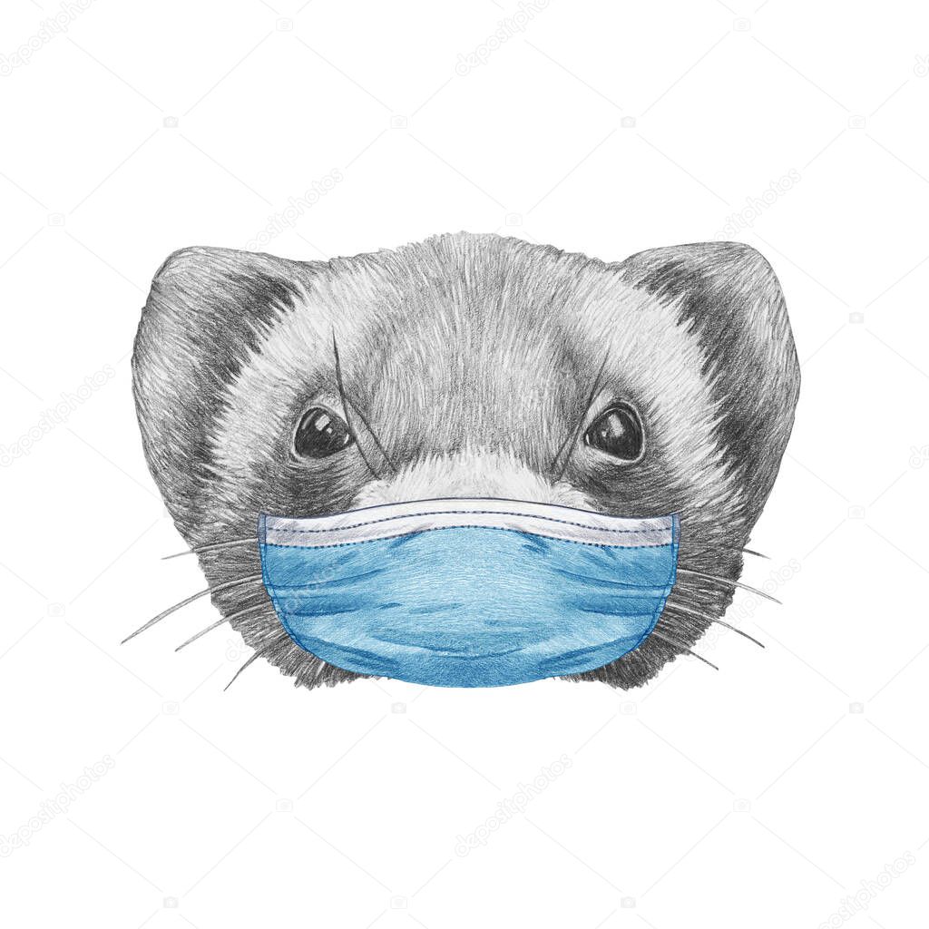 Portrait of ferret  in mask, hand-drawn illustration