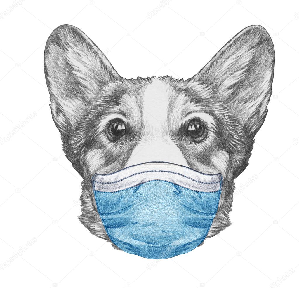 Portrait of corgi dog  in mask, hand-drawn illustration