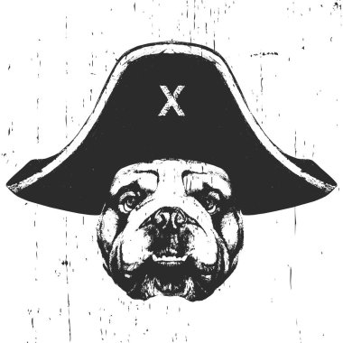 Korsan şapkalı bir İngiliz Bulldog portresi. Vektör. 