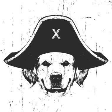 Korsan şapkalı Golden Retriever portresi. Vektör.