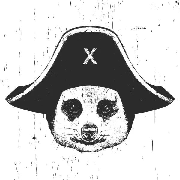 Portrait Meerkat Pirate Hat Vector — Stock Vector