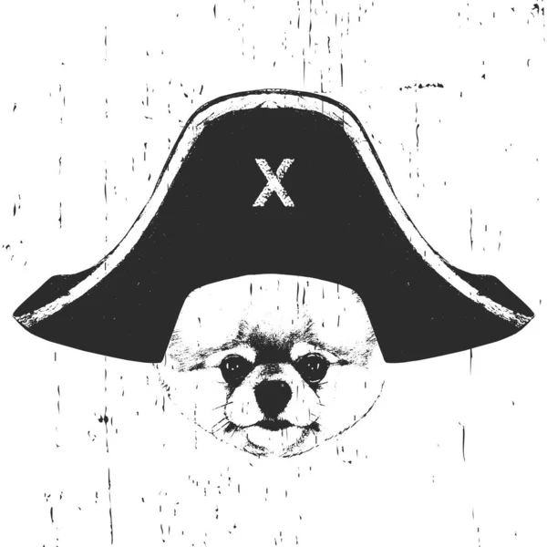Retrato Pomerania Con Sombrero Pirata Vector — Vector de stock