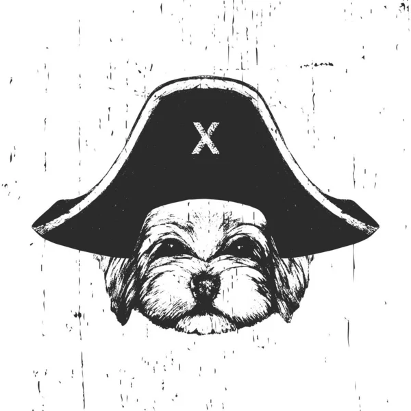 Porträtt Havanese Hund Med Pirat Hatt Vektor — Stock vektor