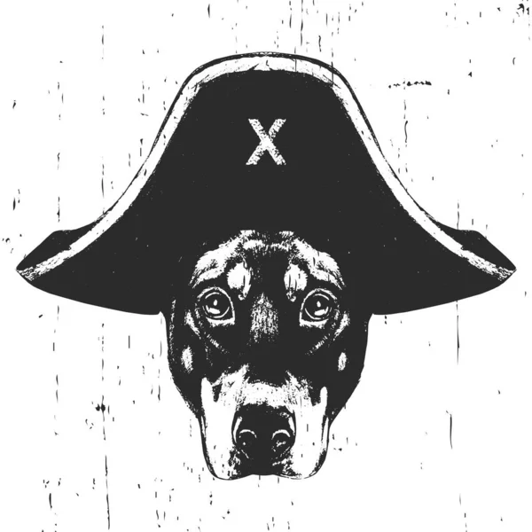 Retrato Doberman Pincher Con Sombrero Pirata Vector — Vector de stock