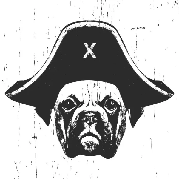 Портрет Боксера Пиратской Шляпе Вектор — стоковый вектор