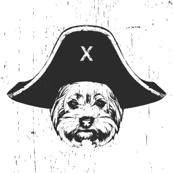 Retrato Yorkshire Terrier Con Sombrero Pirata Vector — Vector de stock