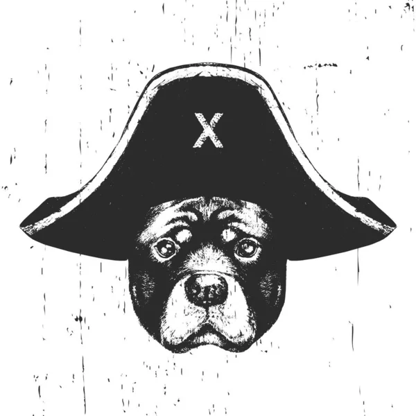 Ritratto Rottweiler Con Cappello Pirata Vettore — Vettoriale Stock