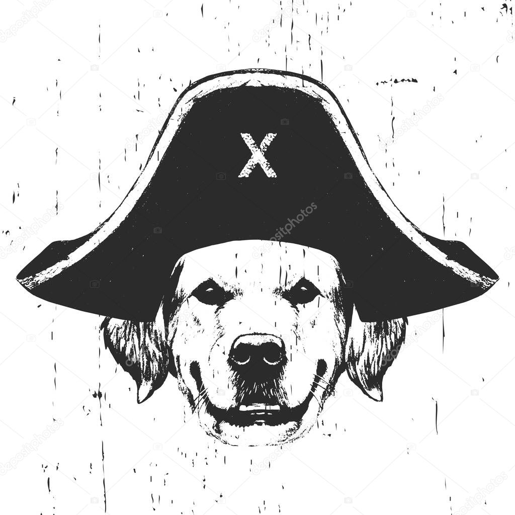 Portrait of Golden Retriever with a pirate hat. Vector.