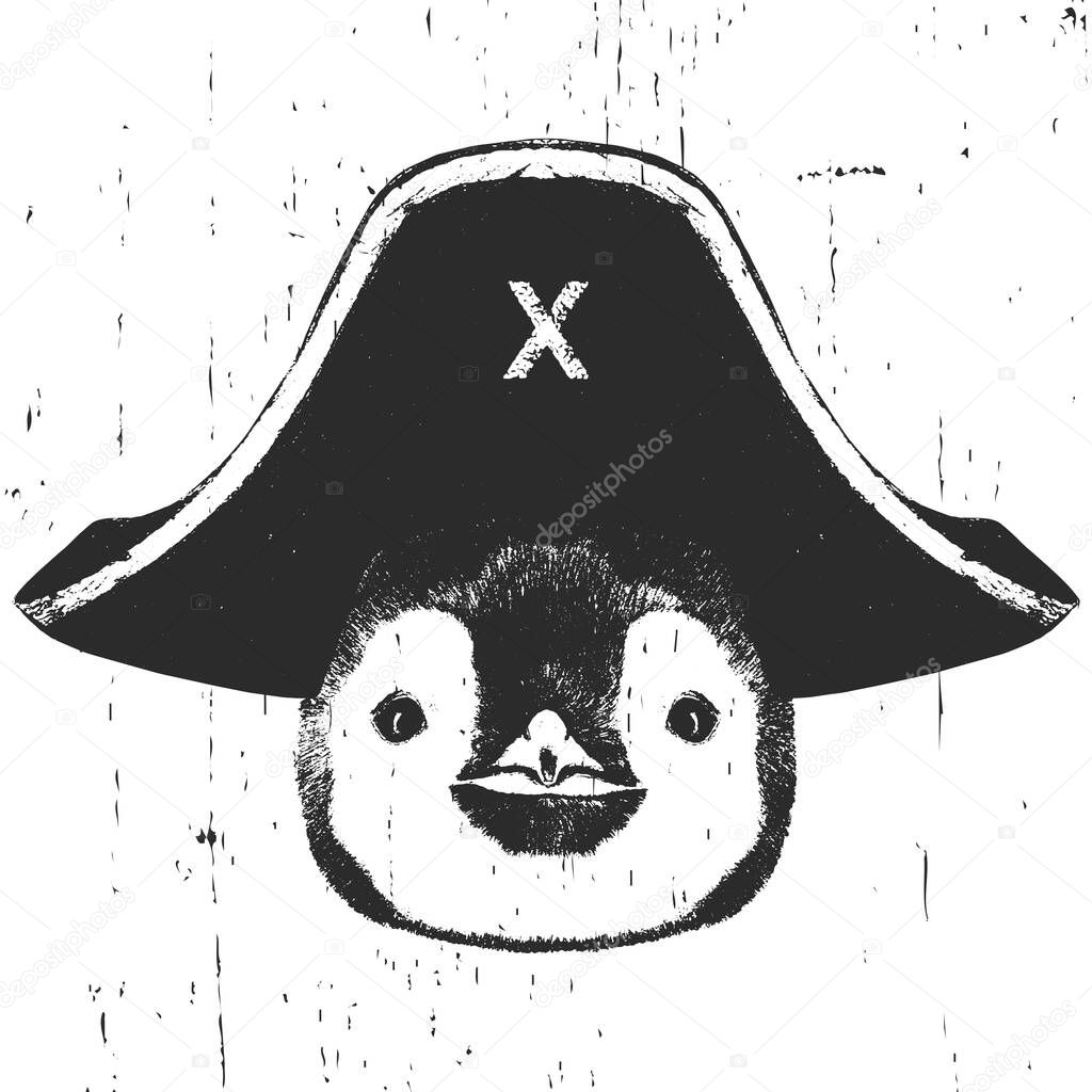 Portrait of Penguin with a pirate hat. Vector.