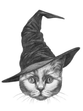 Sihirbaz şapkalı kediyi el çizimi hoş bir tasvir.
