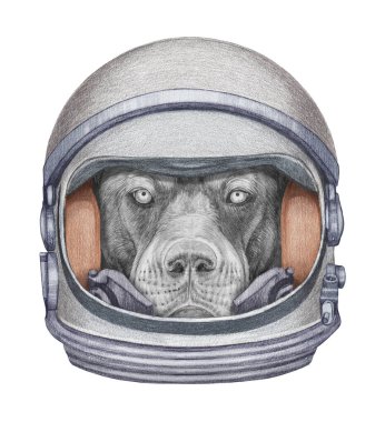 Uzay elbisesi içindeki köpeğin el çizimi hoş bir tasviri.