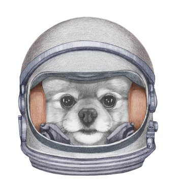 Uzay elbisesi içindeki köpeğin el çizimi hoş bir tasviri.