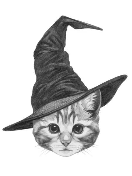 Büyücü Şapkalı Kedi Yavrusunun Çizimi Çok Hoş — Stok fotoğraf