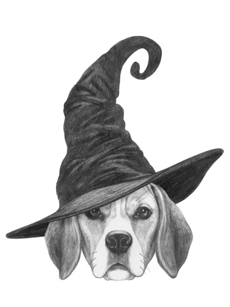 Cute Hand Drawn Illustration Dog Wizard Hat — Stock Photo, Image