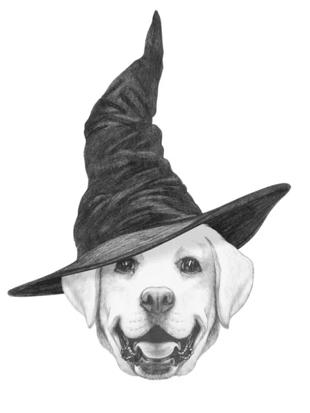 带着魔帽的狗的可爱的手绘插图 — 图库照片