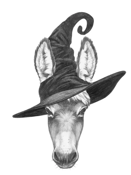Niedliche Handgezeichnete Illustration Des Esels Mit Zauberhut — Stockfoto