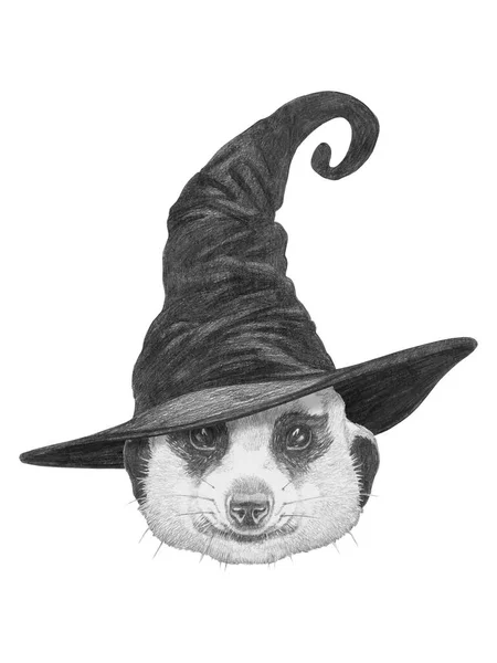 Cute Hand Drawn Illustration Lemur Wizard Hat — Stock Photo, Image