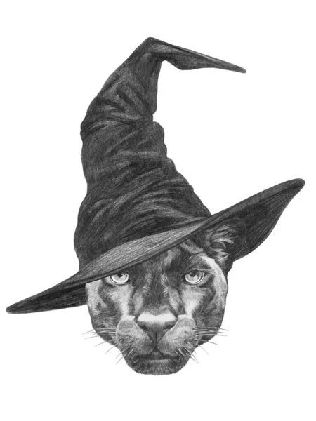 Симпатичная Ручная Иллюстрация Пантеры Шляпе Волшебника — стоковое фото
