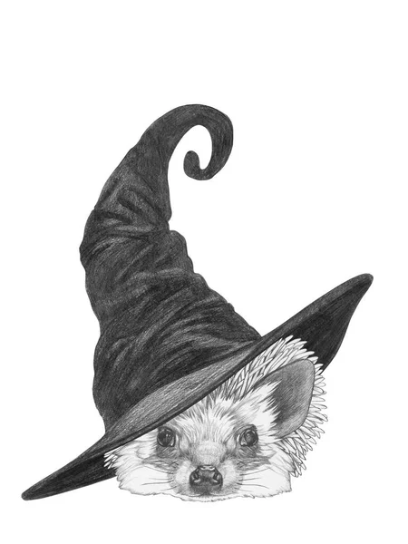 Cute Hand Drawn Illustration Weasel Wizard Hat — Stock Photo, Image