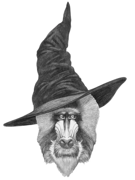 ウィザードの帽子で猿のかわいい手描きイラスト — ストック写真