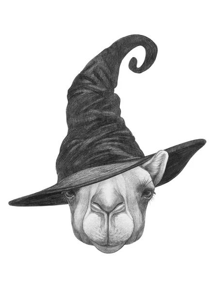 ウィザードの帽子のラクダのかわいい手描きのイラスト — ストック写真