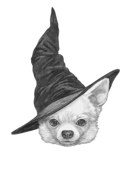 Niedliche Handgezeichnete Illustration Des Hundes Mit Zauberhut — Stockfoto