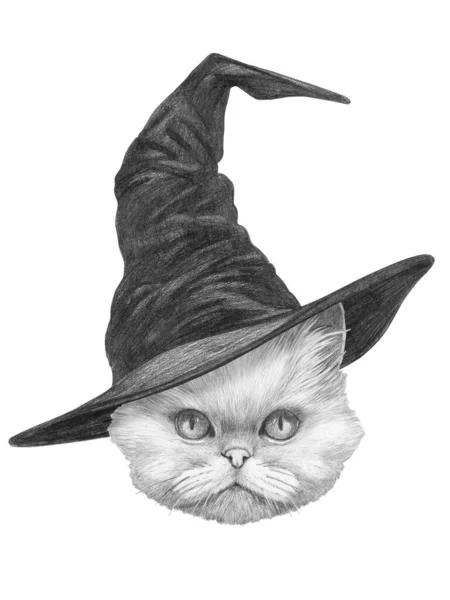 Cute Hand Drawn Illustration Cat Wizard Hat — Stock Photo, Image