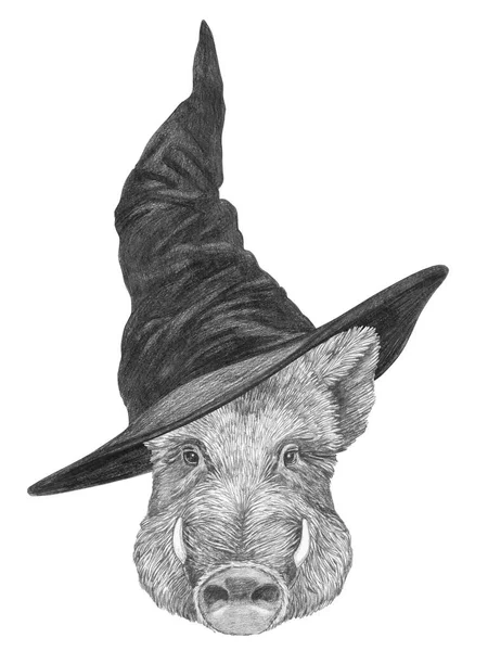 Cute Hand Drawn Illustration Wild Boar Wizard Hat — Stock Photo, Image
