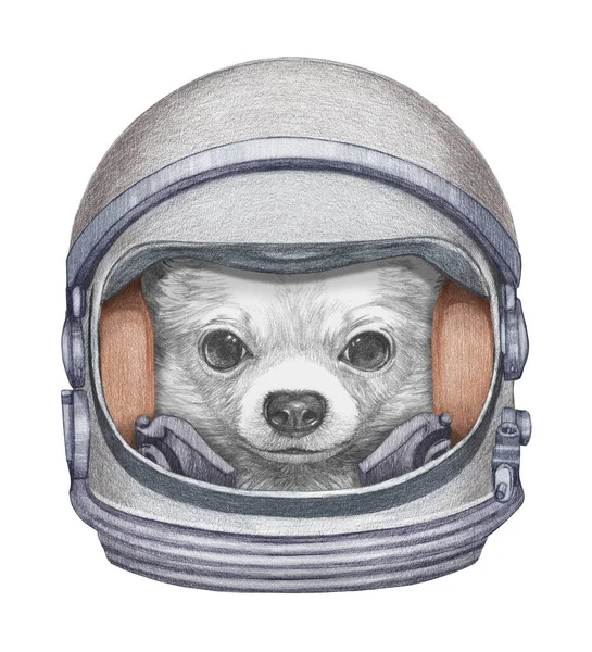 Χαριτωμένη Ζωγραφισμένη Στο Χέρι Απεικόνιση Της Νυφίτσας Στο Διαστημικό Κοστούμι — Φωτογραφία Αρχείου