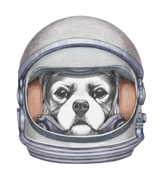 Χαριτωμένο Ζωγραφισμένο Στο Χέρι Απεικόνιση Του Σκύλου Στο Διαστημικό Κοστούμι — Φωτογραφία Αρχείου