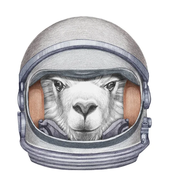 Ilustração Desenhada Mão Bonito Alpaca Traje Espacial — Fotografia de Stock