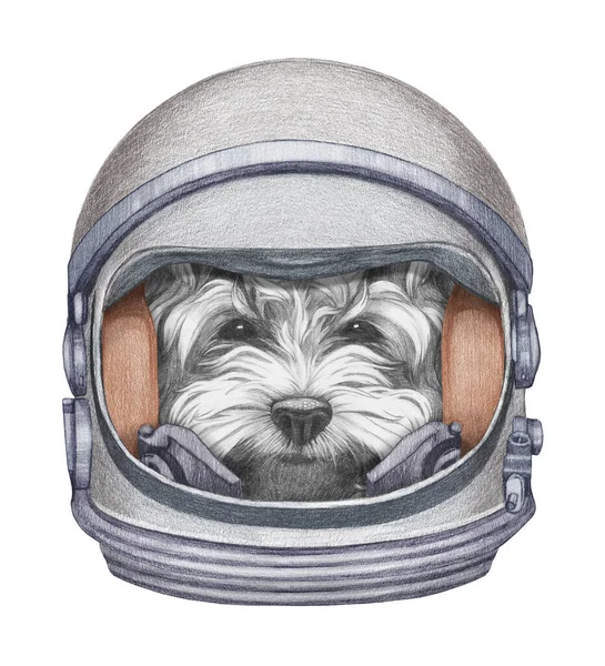 Linda Ilustración Dibujada Mano Perro Traje Espacial — Foto de Stock