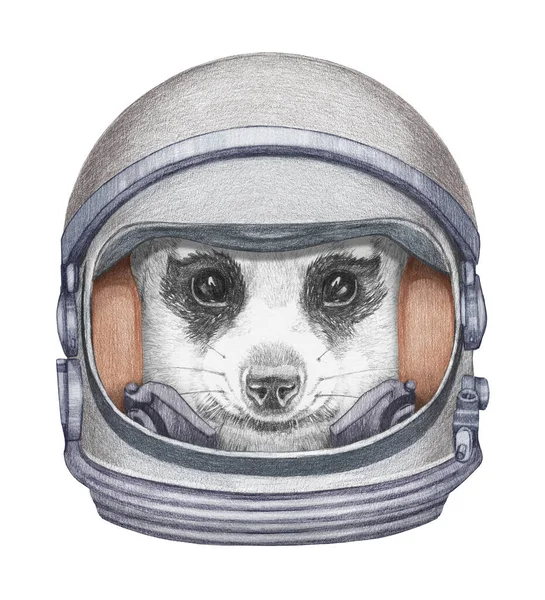 宇航服中狐猴的精美手绘图解 — 图库照片