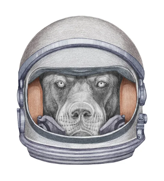 Linda Ilustración Dibujada Mano Perro Traje Espacial — Foto de Stock