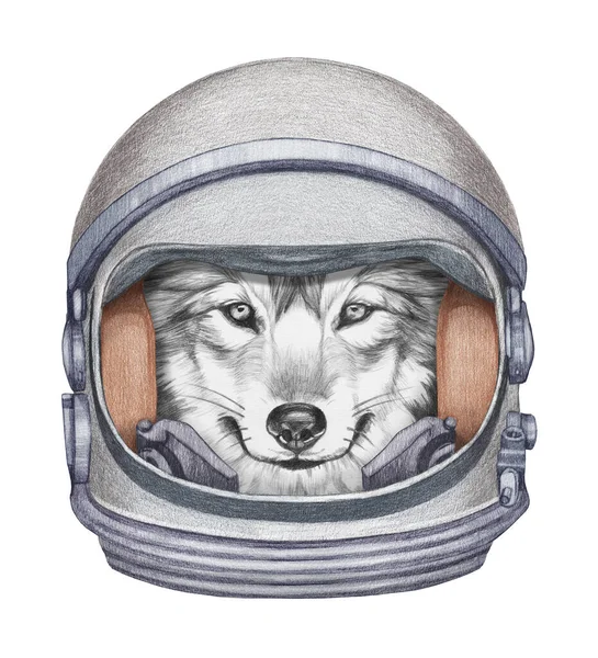 宇航服中的狗的可爱的手绘插图 — 图库照片