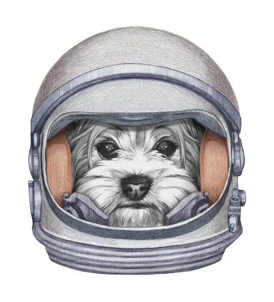 Linda Ilustración Dibujada Mano Perro Traje Espacial — Foto de Stock