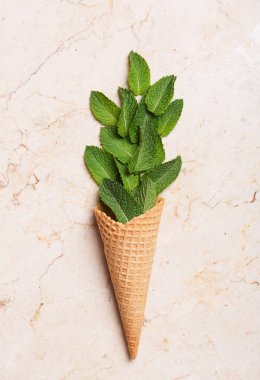 Nane yaprakları düz yatıyordu buket. Gözleme koni içinde yeşil aromatik bitki