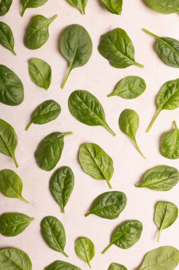 Eski beton mermer masaya taze mini ıspanak yıkanır