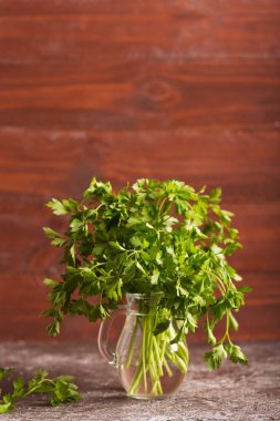 Cam bahçesinden taze maydanoz yaprakları