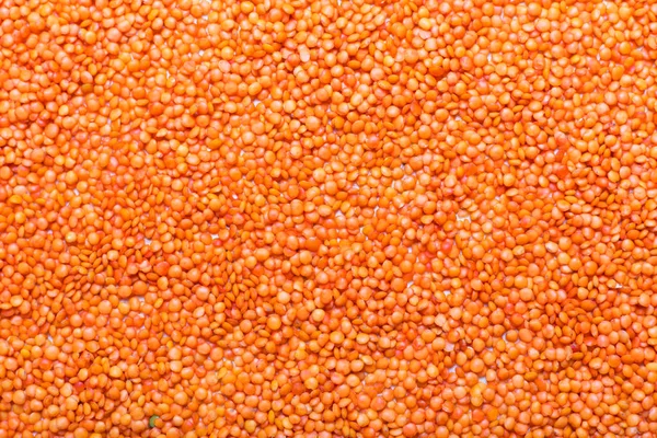 Lentils on the table. This legume contains a lot of vegetable protein