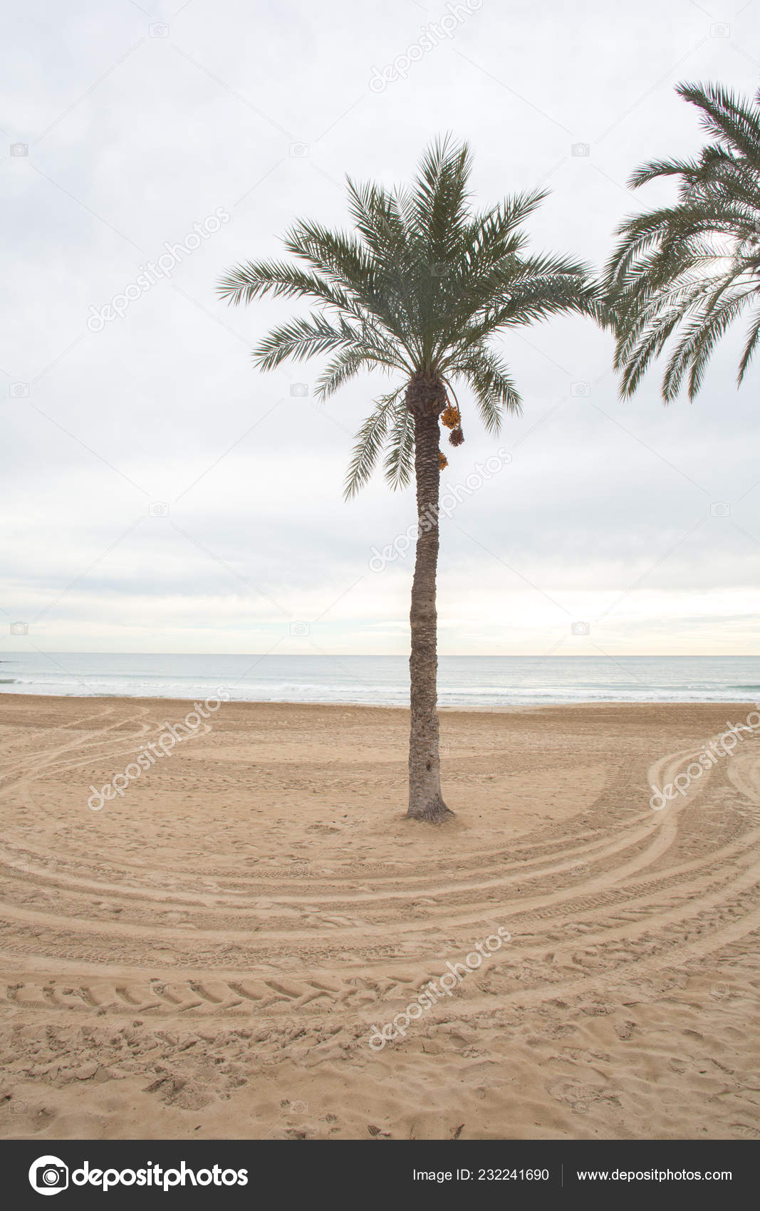 dating costa blanca spanien