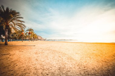 Alicante veya Alacant ünlü İspanyol ve İspanya İspanya bağlantı noktası biridir. Costa Blanca - Akdeniz sahil bu