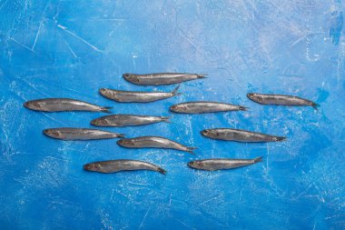Deniz ürünleri. Küçük deniz balık, hamsi. Üstten görünüm, balık desen