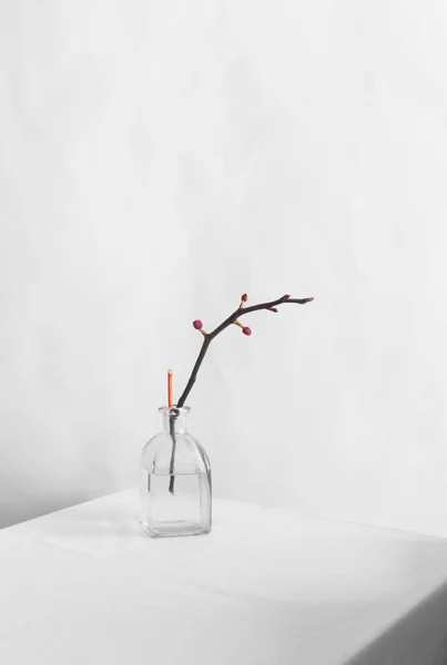Bodegón moderno con rama de orquídea en la mesa blanca y fondo — Foto de Stock