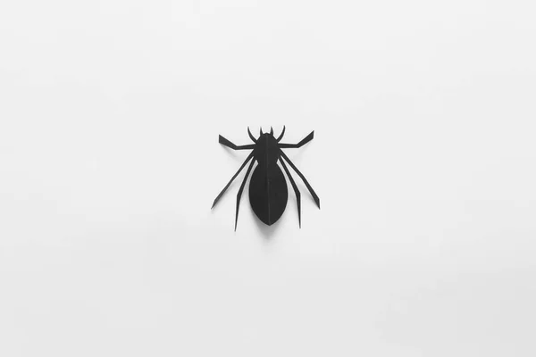 Spiders on white background. Halloween holiday concept. Top view, flat lay — Stock Photo, Image